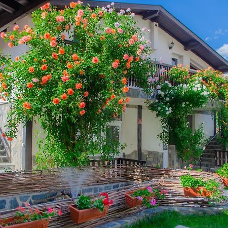 Guest House Via Saparewa Banja Zewnętrze zdjęcie