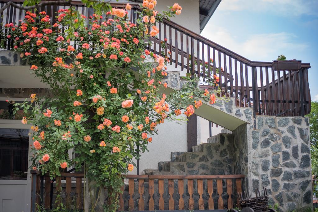 Guest House Via Saparewa Banja Zewnętrze zdjęcie
