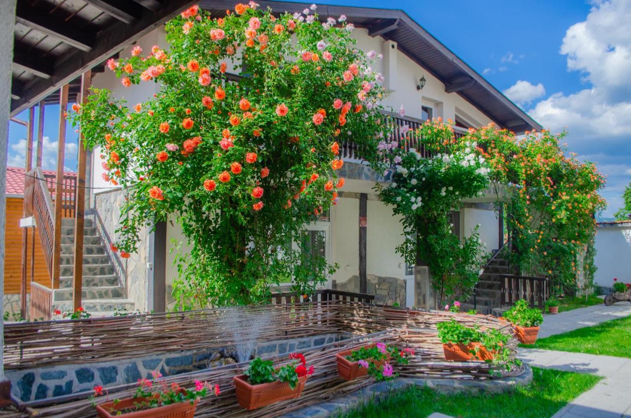 Guest House Via Saparewa Banja Zewnętrze zdjęcie